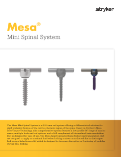 MESA Mini Sell Sheet.pdf