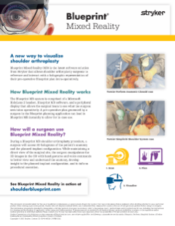 Blueprint Mixed Reality Visualization overview.pdf