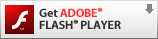 Download Flash Plugin