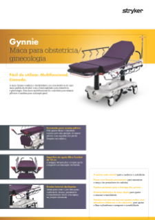 Gynnie Spec Sheet PT.pdf