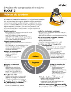 FRENCH-CA LUCAS System Values