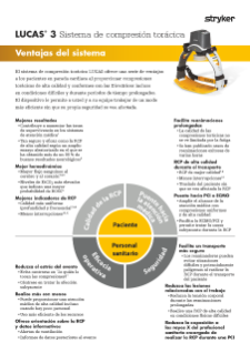 SPANISH LUCAS System Values Flyer