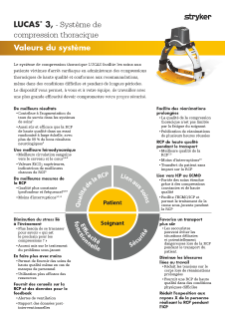 FRENCH LUCAS System Values Flyer