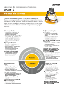 PORTUGUESE EMEA LUCAS System Values Flyer