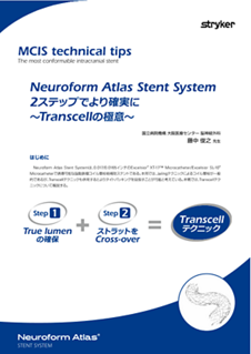 MCIS_technical_tips.pdf