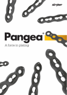 Pangea 総合パンフレット