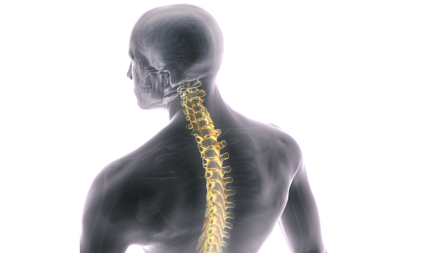 Spine Navigation | Stryker