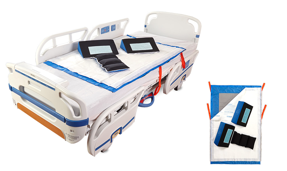 RE:SET Melt Therapy＆Auto Update Therapy Frontiers | The Arabidopsis Sin3-HDAC Complex Facilitates