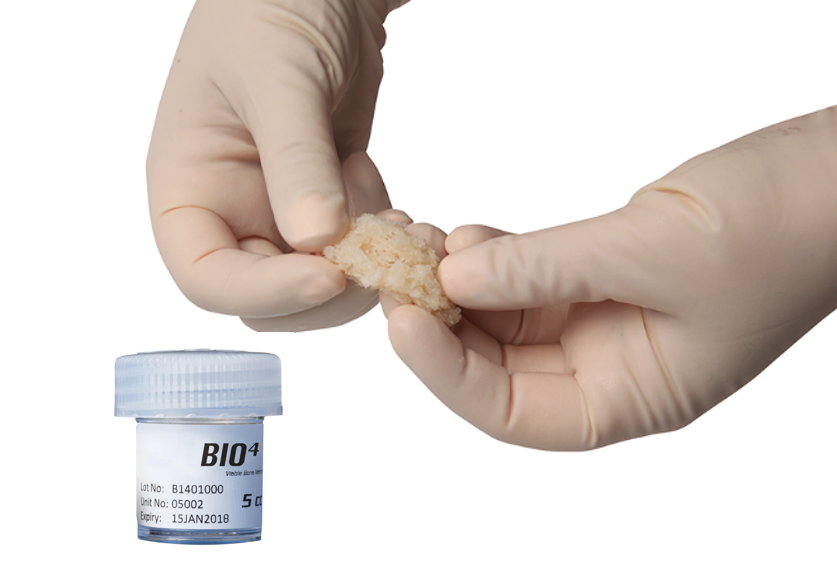 Thumbnail_BIO4.png