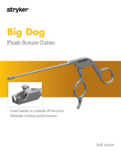 Big Dog brochure