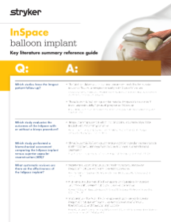 InSpace key literature summary