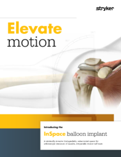 InSpace Balloon Implant brochure