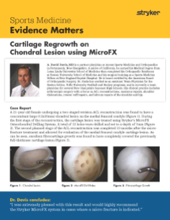 MicroFX technical guide.pdf